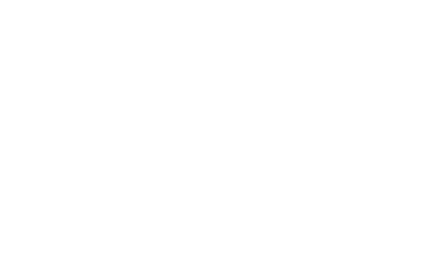 Tim Holmes Vehicle Livery Designer